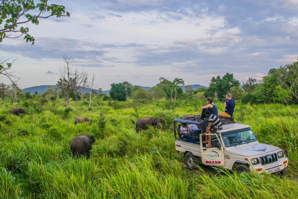 Sundari Eco Village Habarana Buitenkant foto